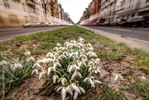 City Life - Stadtleben - Frühling in der Großstadt photo