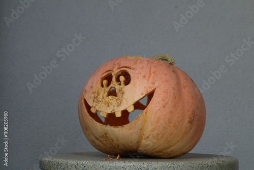 jack o lantern photo