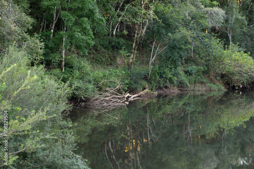 Peaceful landscape. Panorama view of the calm creek in the tropical jungle at sunset