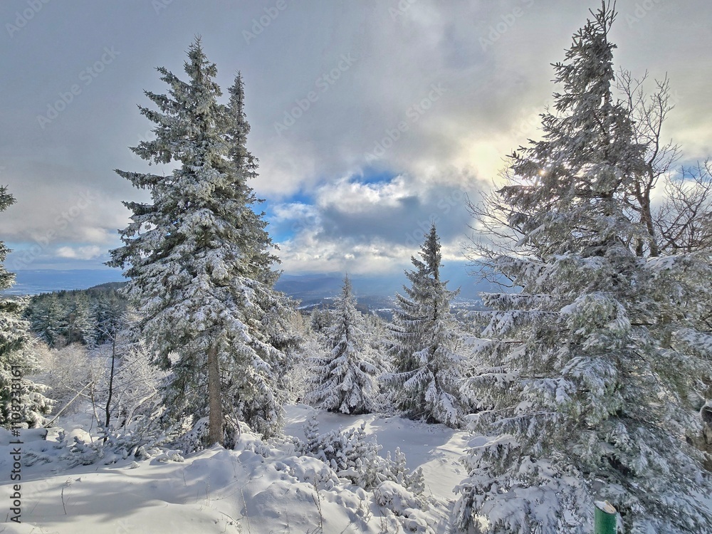 Obraz premium Karkonosze 