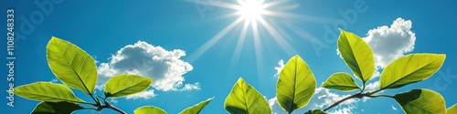 Springtime green leaves with sunflare and fluffy white clouds in the background