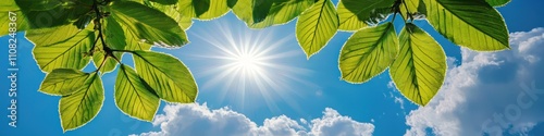 Springtime green leaves with sunflare and fluffy white clouds in the background