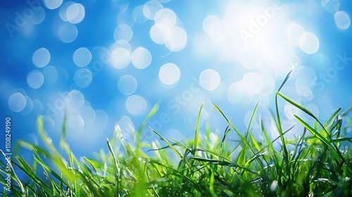 Abstract bokeh green grass and blue sky for World Environment Day