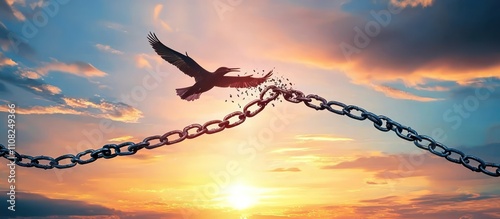 Bird flying into the sky while breaking chains at sunset, freedom concept