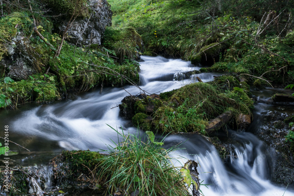 Fototapeta premium Un corso d'acqua impetuoso nel bosco.
