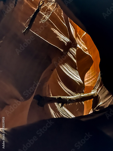 Warm light illuminates the smooth, flowing curves of Antelope slot canyon's sandstone walls, creating a captivating play of shadows and highlights. Wooden branches are wedged between the rocks caused 