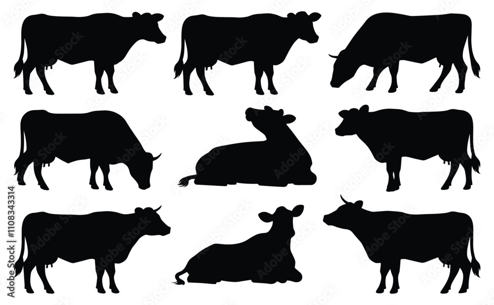 Set of jersey cow silhouettes in various poses. isolated vector on white background. Set of jersey cow silhouettes in various poses. isolated vector on white background.