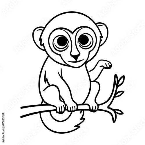 Tarsier Monkey