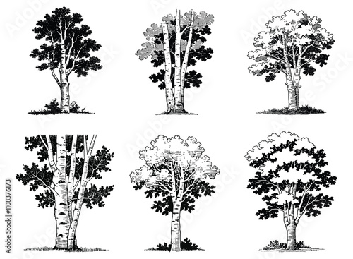 Detailed Black and White Illustration of Various Tree Forms with Prominent Textures