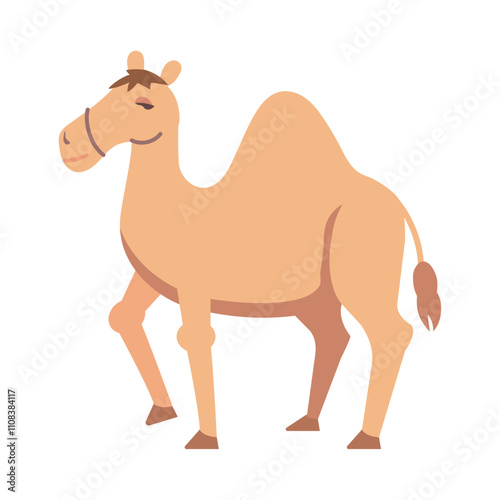 desert camel animal photo