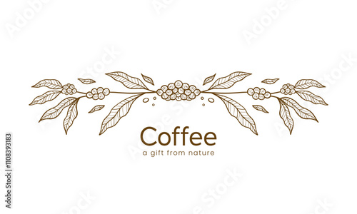 coffee plant border divider decoration hand drawn