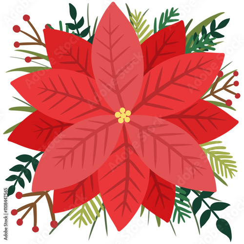 포인세티아,Christmas flower illustration 