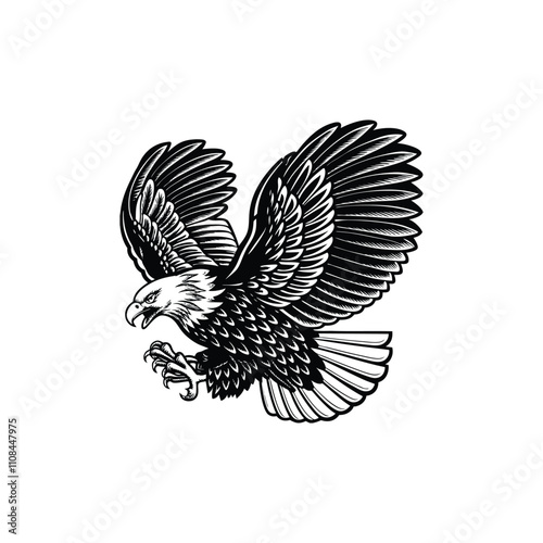 bald eagle vector art and illustratiion