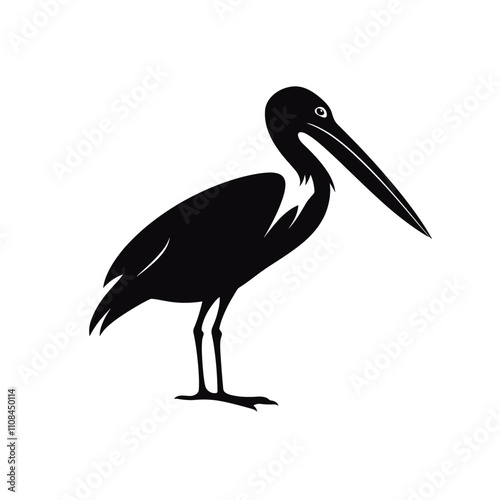 Stork standing gracefully in a natural habitat showcasing elegant posture and long beak