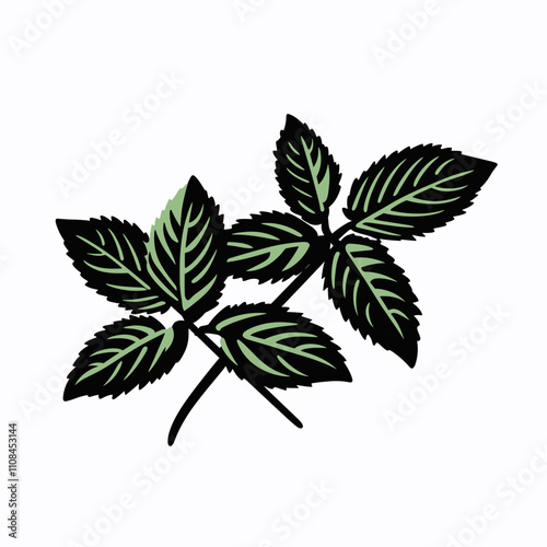 Fresh mint leaves illustrated with vibrant green color on a clean background