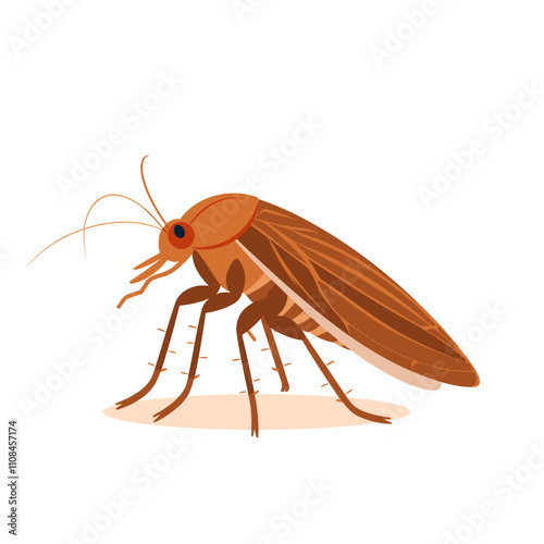 Brown cockroach on a light background exploring its surroundings in a domestic setting