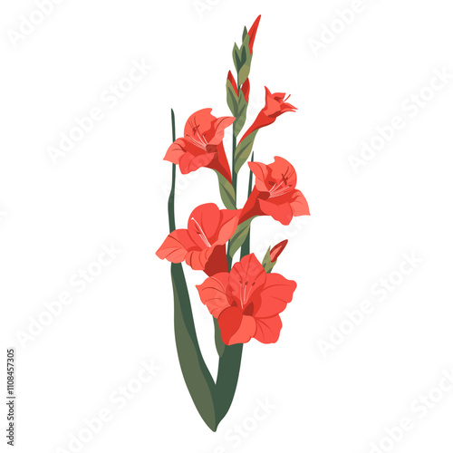 Beautiful red gladiolus flowers in full bloom showcasing vibrant colors and delicate petals