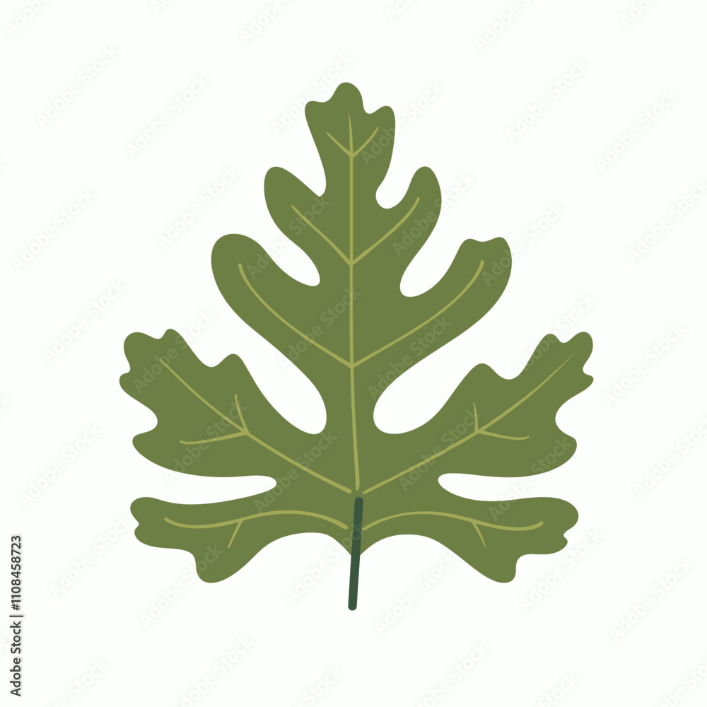 Fototapeta premium Green leaf with distinctive shape isolated on white background showcasing natural beauty