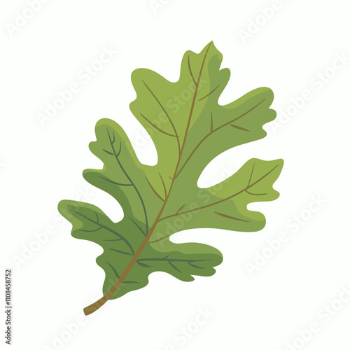 Bright green oak leaf resting on a blank background showcasing its detailed shape