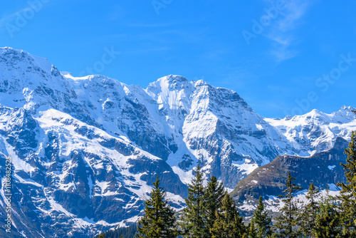 Wallpaper Mural The Swiss Alps at Murren, Switzerland. Jungfrau Region. The valley of Lauterbrunnen from Interlaken. Torontodigital.ca