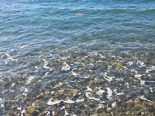 sea and rocks