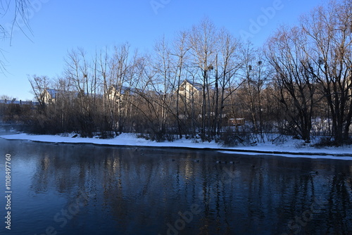 landscape with trees and snow
