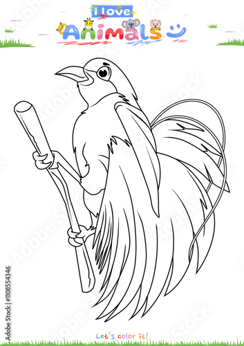 Lets color it Cute Cendrawasih cartoon