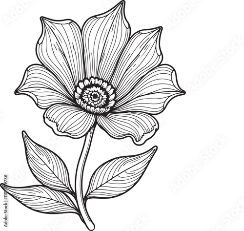 Shameless flower pattern design. Flowers outline vector. Coloring book flowers.