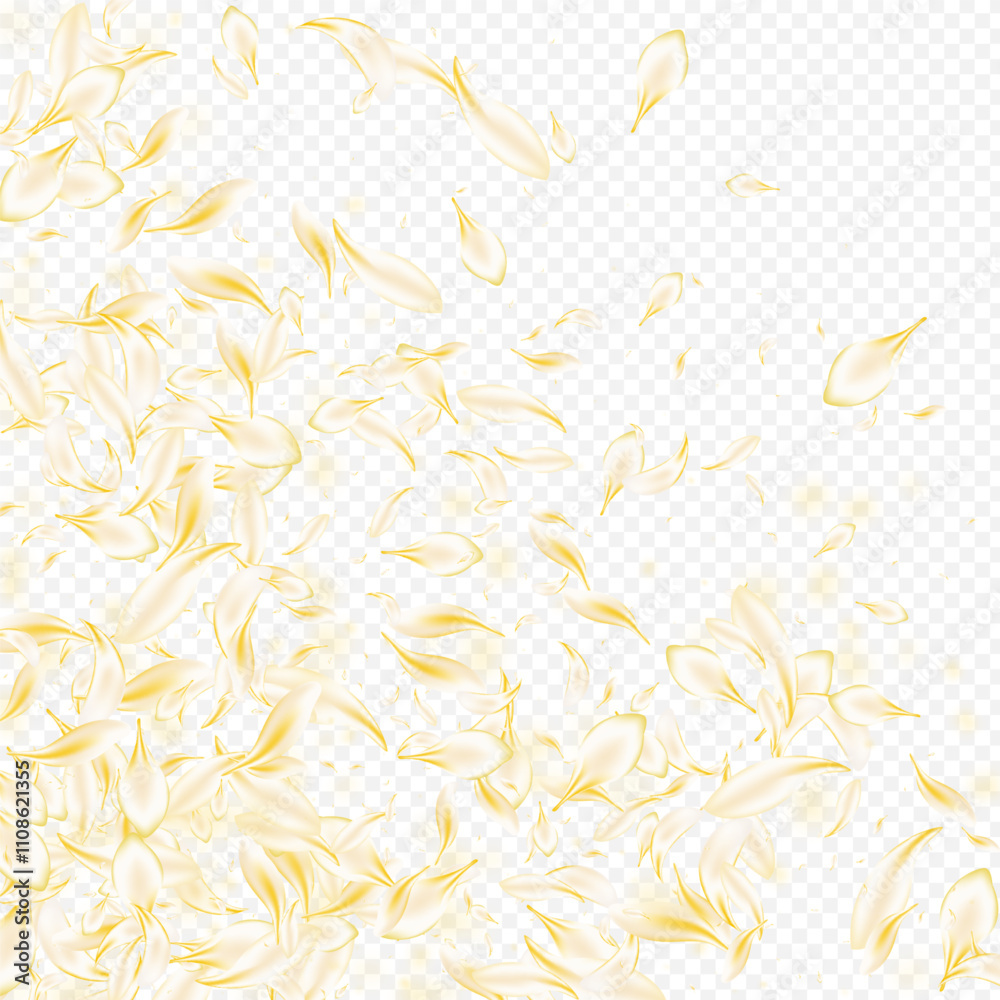 Obraz premium Yellow_petals_transparent_background_43.eps