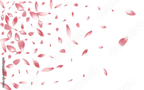 2560x1600ggr17__Pudra1_01.eps