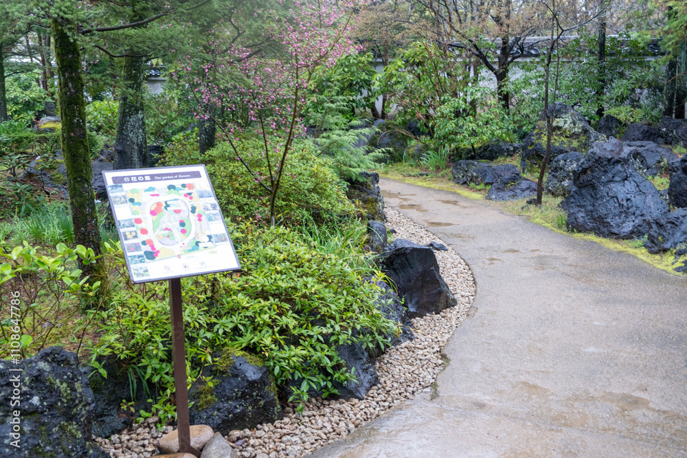 Footpath paved and wet after the rain in a japanese garden, Green plants and trees and a garden information board. Footpath paved and wet after the rain in a japanese garden, Green plants and trees and a garden information board.