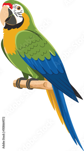 Parrot bird cartoon character design, cartoon, vector, blue, illustration