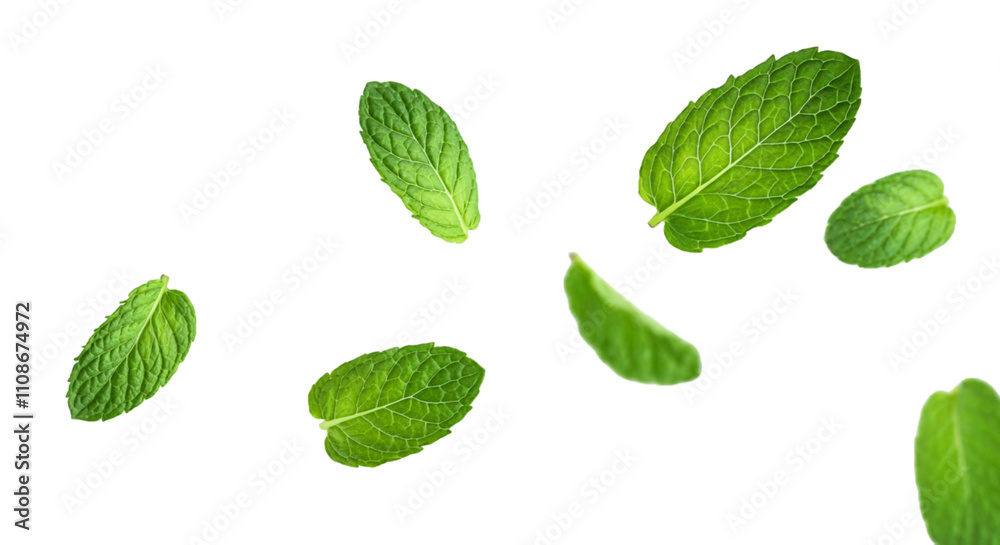 Naklejka premium Flying mint leaves