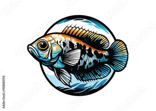 Create a vibrant, detailed vector illustration of Cyprinodon diabolis, the Devil's Hole pupfish, showcasing its unique adaptations and habitat.  Include realistic coloring and fine details. photo