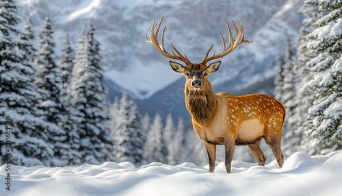 Wallpaper Mural Majestic deer in snowy mountain landscape. (1) Torontodigital.ca