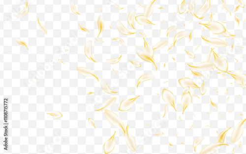 Yellow_petals_transparent_background_966.eps