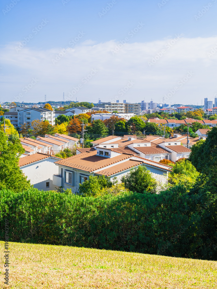 郊外の住宅地 多摩ニュータウン