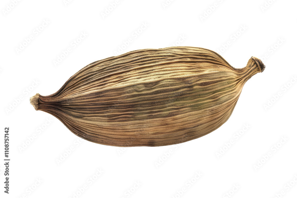 custom made wallpaper toronto digitalUnique view of dried vanilla pod showcasing its distinctive shape and texture against a plain background