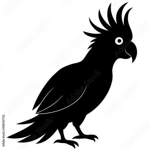 black and white macaw ara