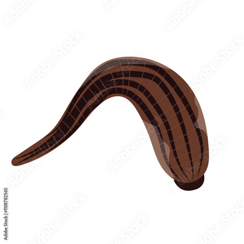 Leech dark brown, bloodsucking insects, alternative medical aid, animals of rivers and lakes.
