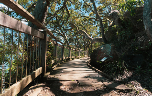 Bradleys Head – Booraghee Amphitheatre offers you a picnic spot by the water with an unbeatable view of Sydney Harbour. photo