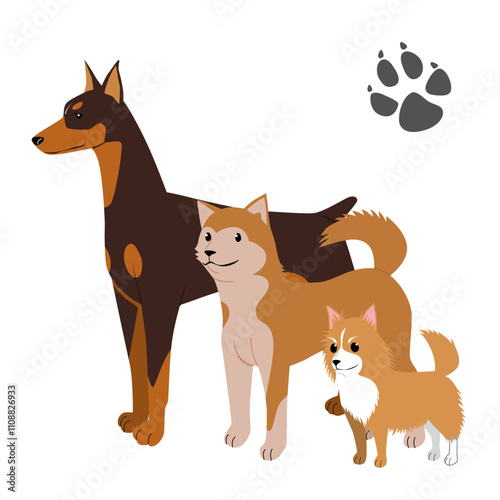 犬セット
