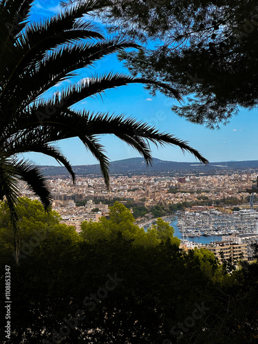 Cityscape Mallorca palmtree look through 
