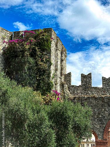 Castle Mallorca flowers