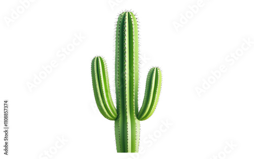 Beautiful cactus on a white isolated background, showcasing its unique shape and vibrant green color. photo