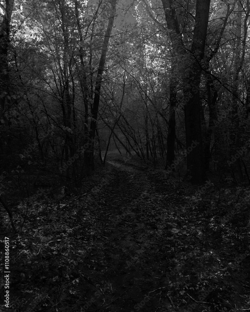 Fototapeta premium Surreal road in the woods, fantastic rainy forest, Black metal, dark spooky nature, horror atmosphere