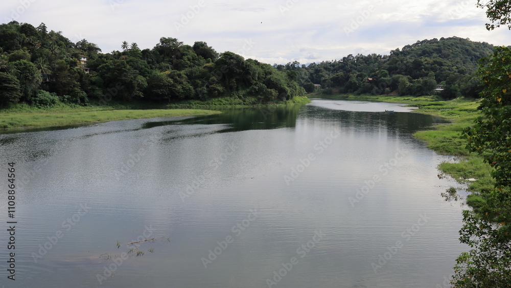 Fototapeta premium lake in the forest
