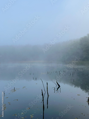 fog on the lake