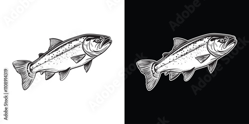 Retro vintage draw paint sketch of salmon fish in engraving style illustration