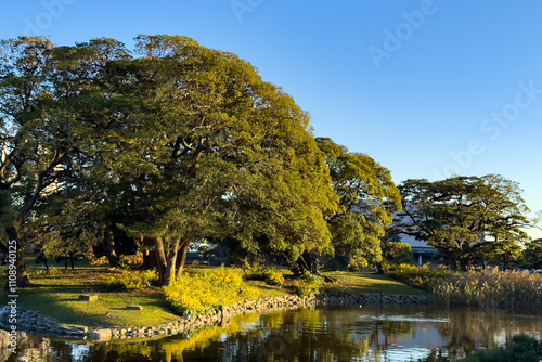 都心散歩　浜離宮紅葉の頃
 photo